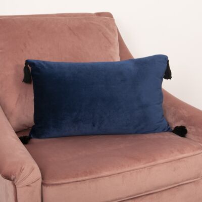 Blue Velvet Tassled Boudoir Cushion