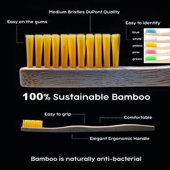 Brosses à Dents en Bambou-Coloré-Paquet de 5- Moyen 4