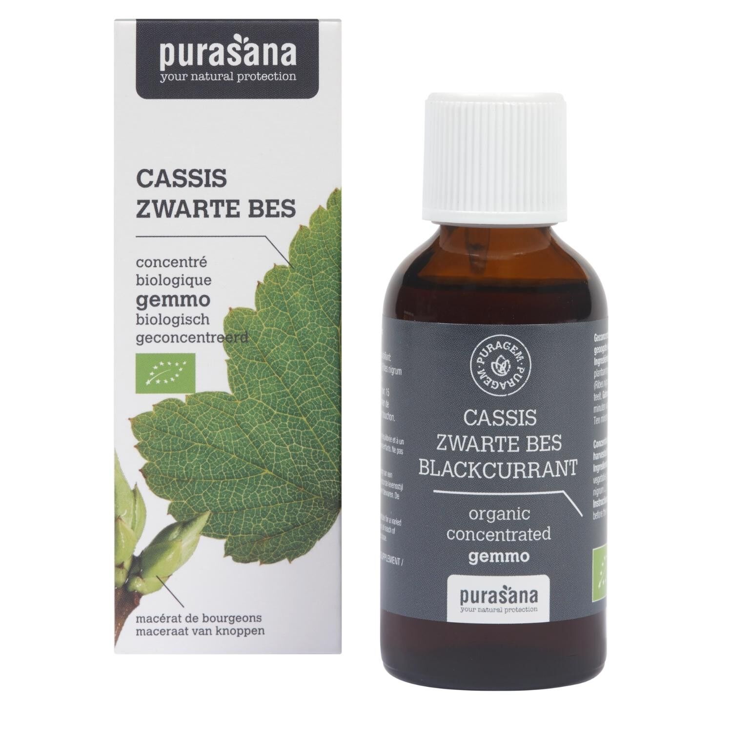 Cassis - Gemmoterapia