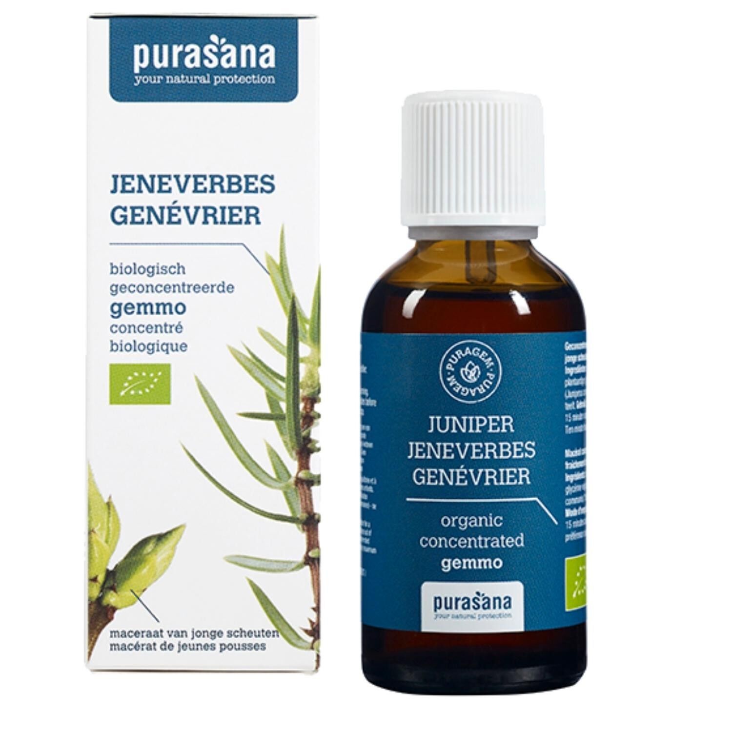 Ginepro - Gemmoterapia