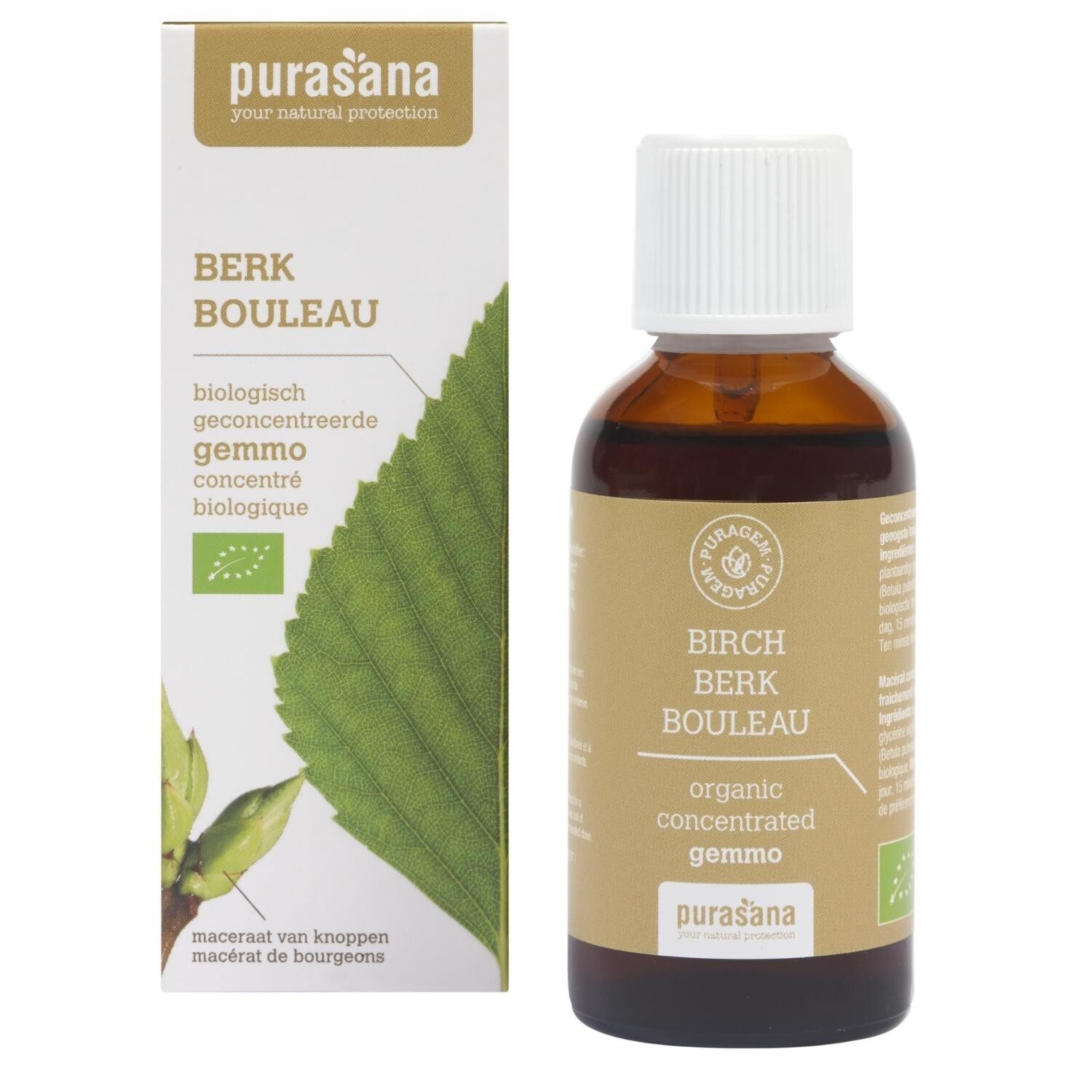 Betulla - Gemmoterapia