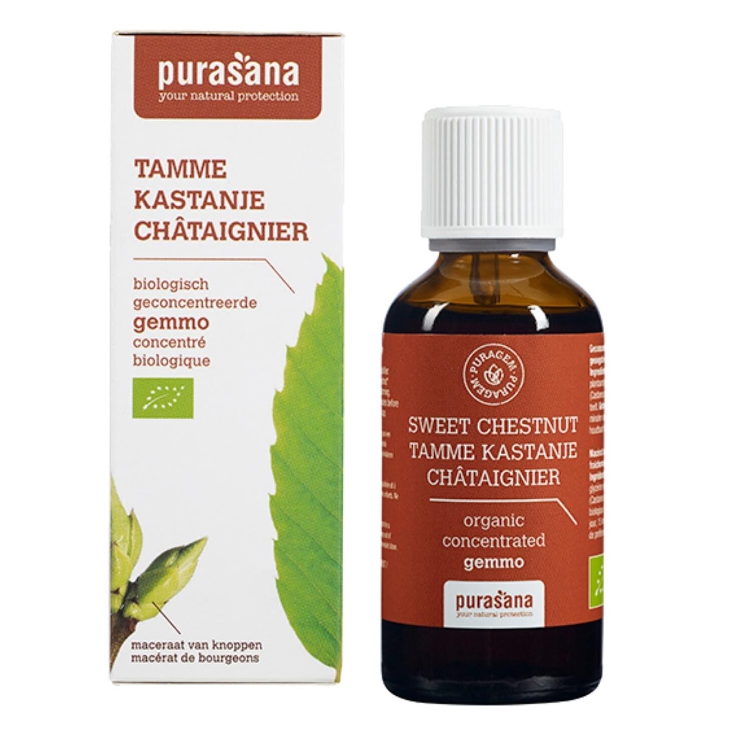 Castagno - Gemmoterapia