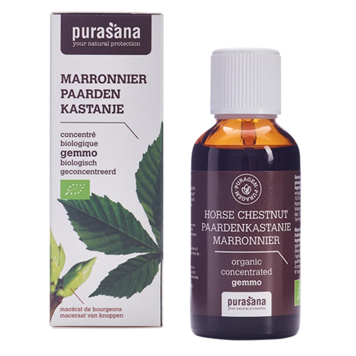 Castagno - Gemmoterapia