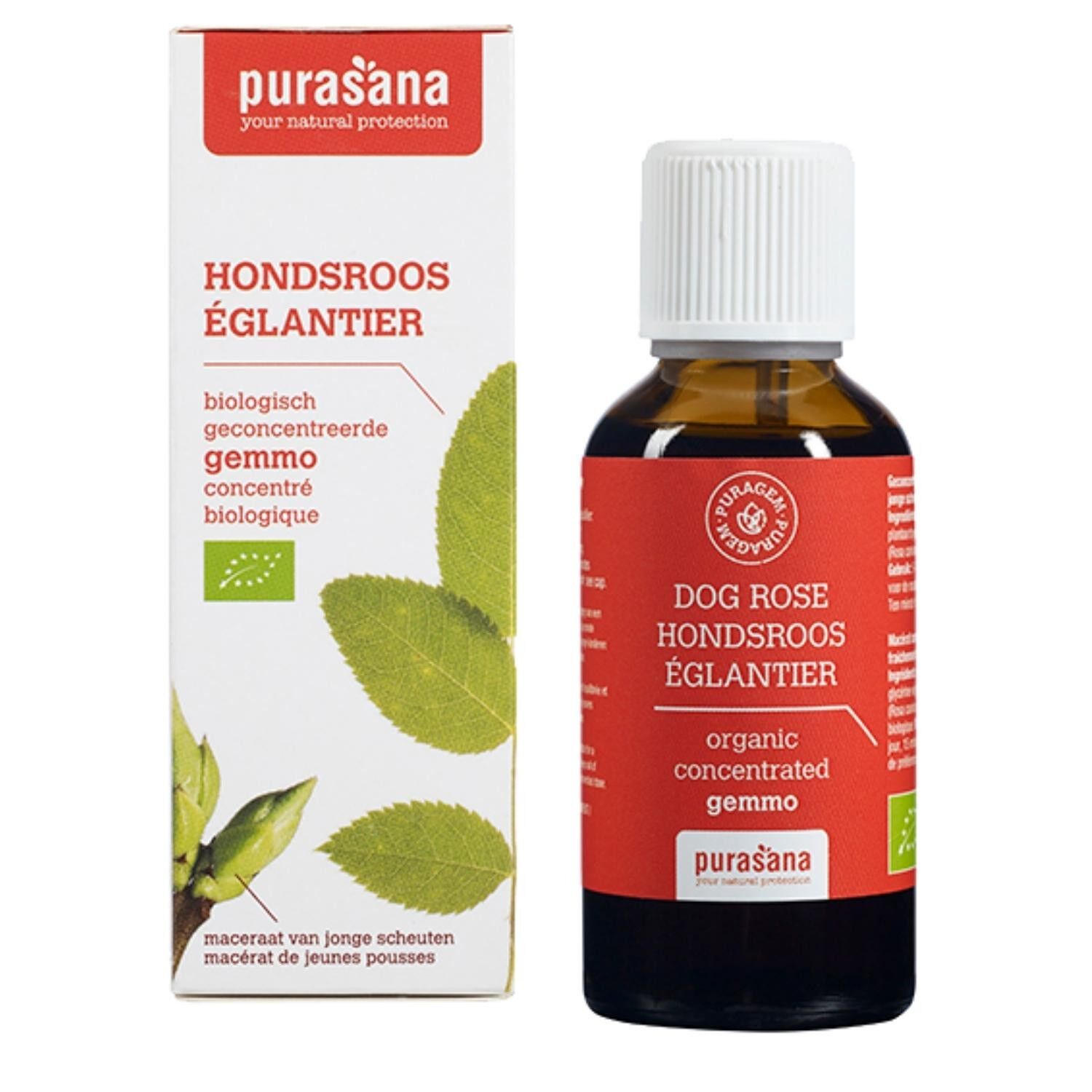 Eglantier - Gemmoterapia