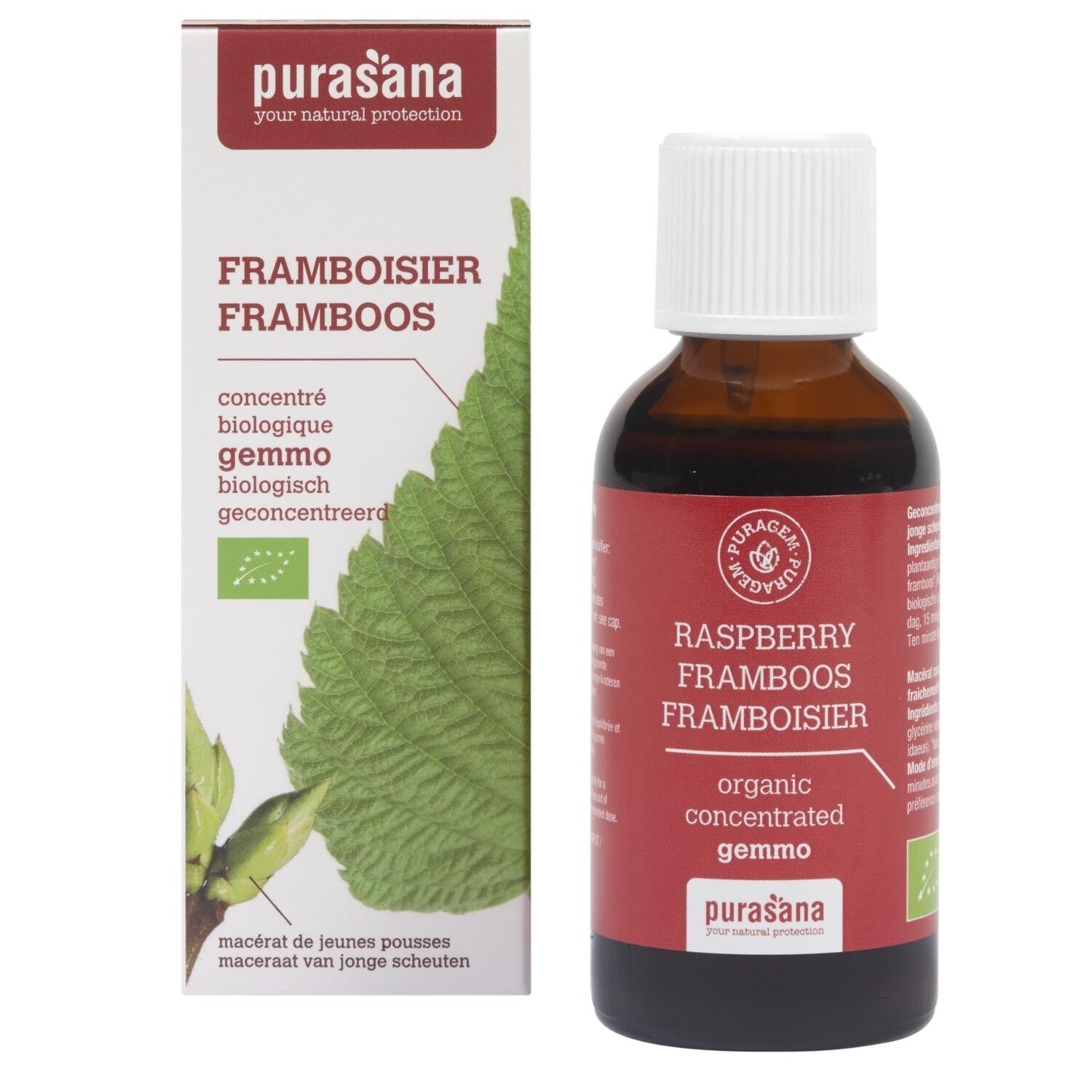 Lampone - Gemmoterapia