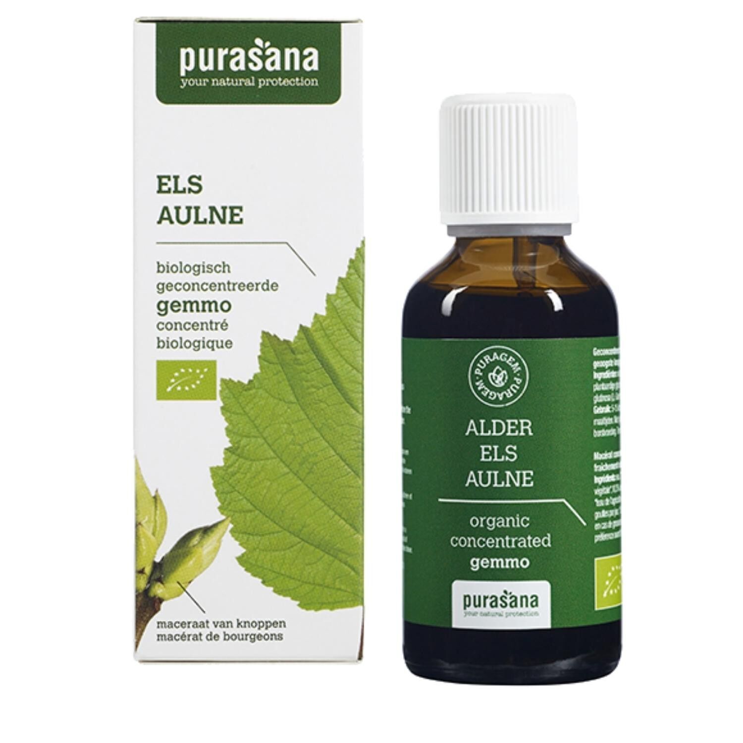 Ontano - Gemmoterapia