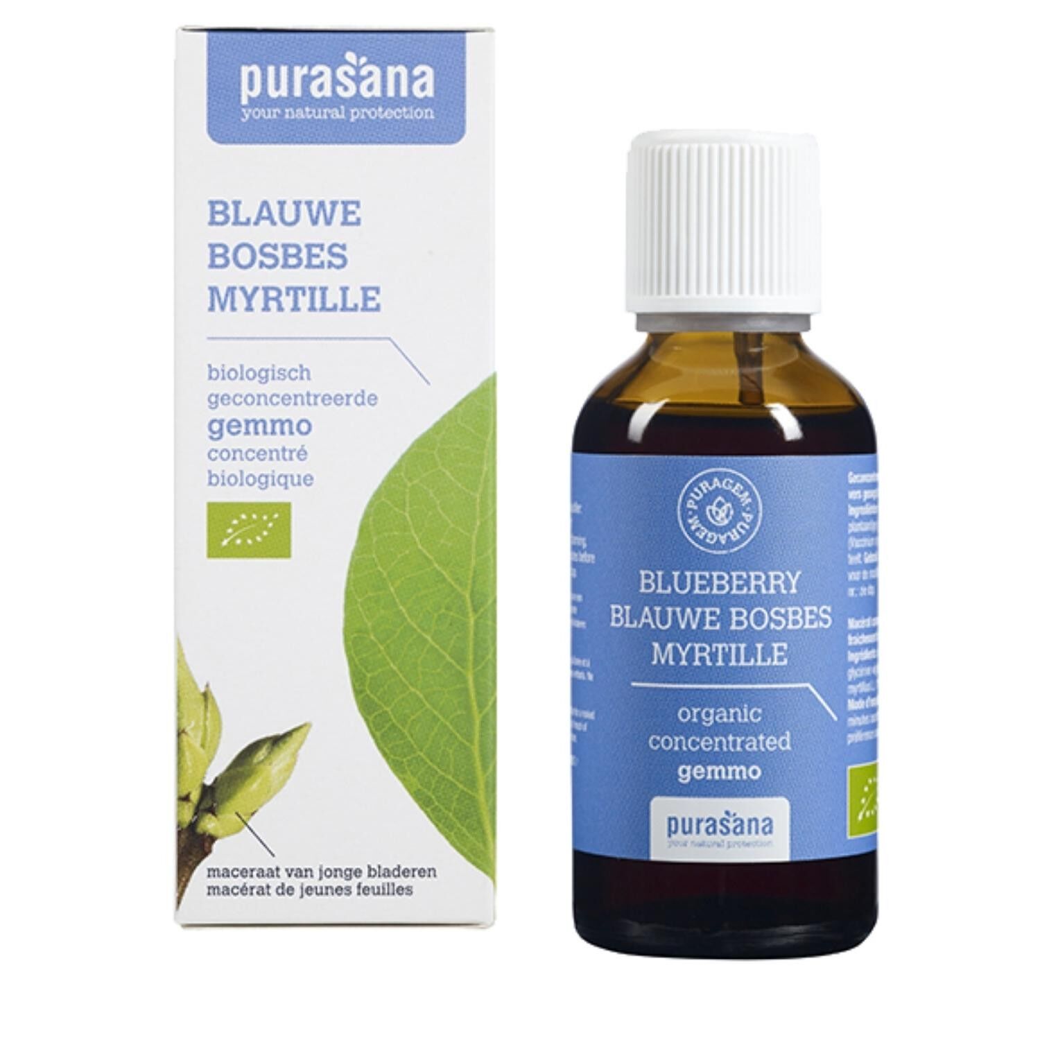 Mirtillo - Gemmoterapia