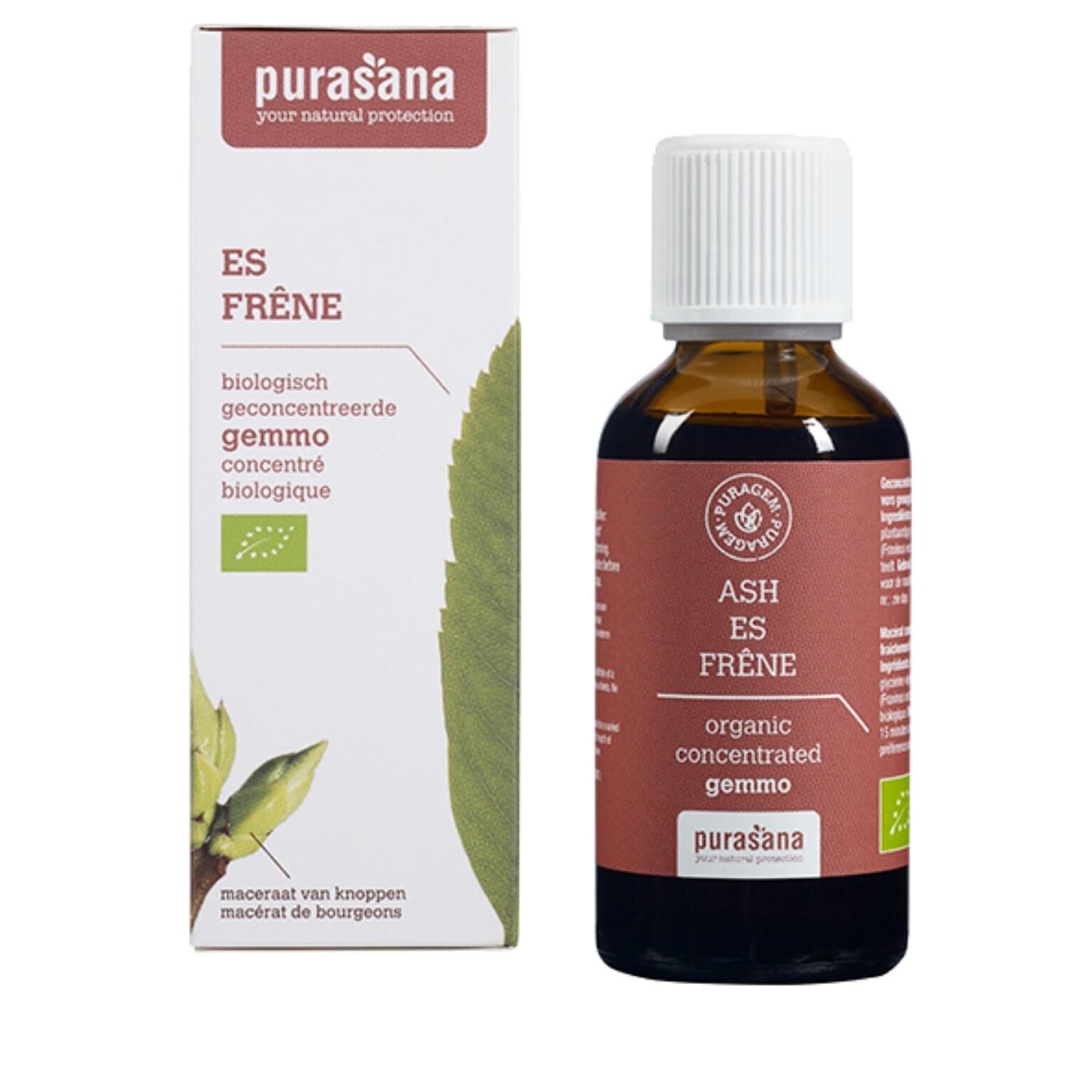 Cenere - Gemmoterapia