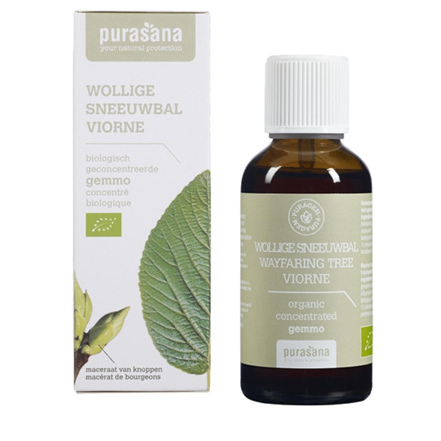 Viburno - Gemmoterapia