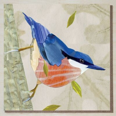 Nuthatch Card (bird cards)