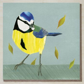 Carte mésange bleue (cartes oiseaux) 1