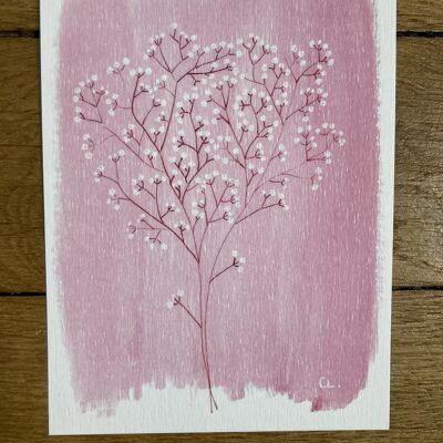 Cartolina - Paletta rosa