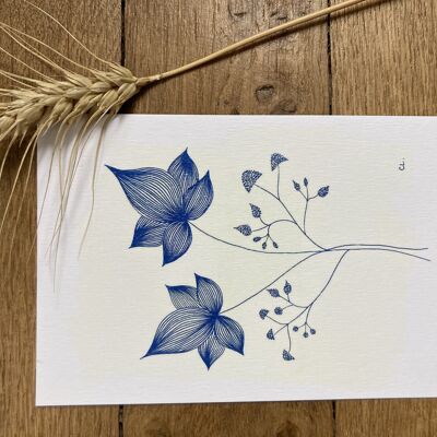 Postcard - Blue and white scoop
