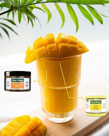 Crème de mangue nourrissante - ALOE LOCKS -   250 ml 2