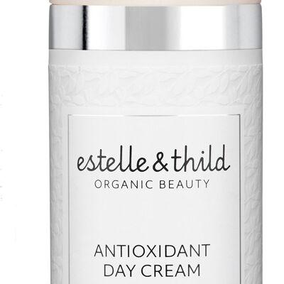 BioDefense Antioxidant Day Cream