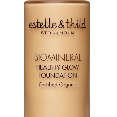 BioMineral Healthy Glow Foundation 113