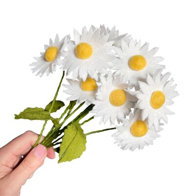 Filz Oxeye Gänseblümchen Bastelset