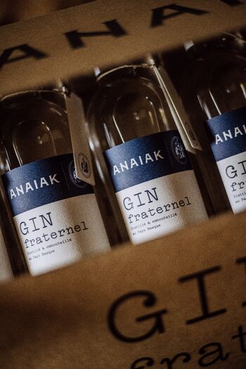 Gin Anaiak 2