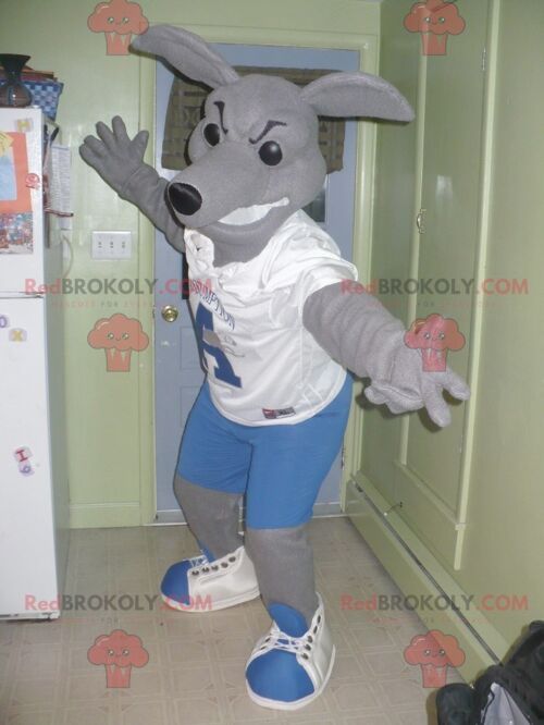 Brown bulldog dog REDBROKOLY mascot in sportswear / REDBROKO_01652