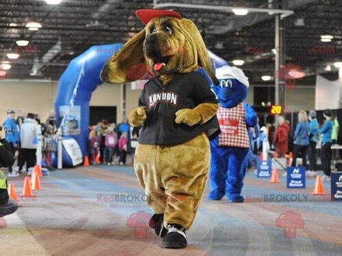 Yellow and brown lion REDBROKOLY mascot in blue sportswear / REDBROKO_01777