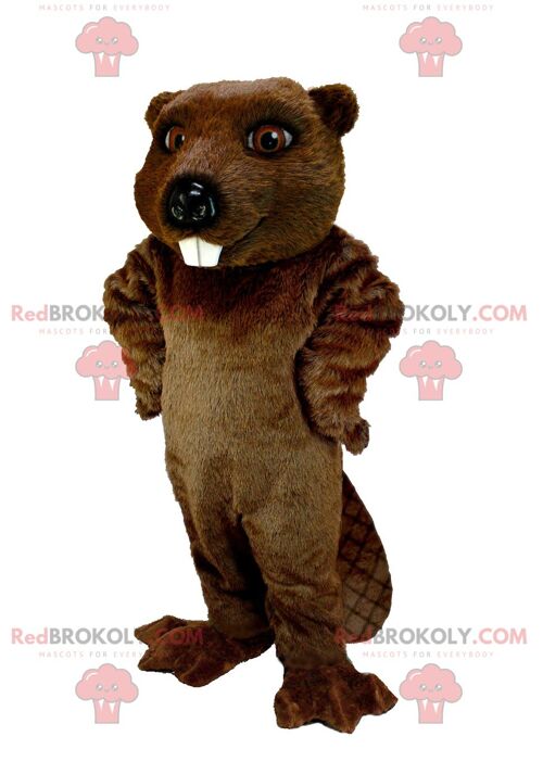 REDBROKOLY mascot brown chihuahua with a big mouth / REDBROKO_01969