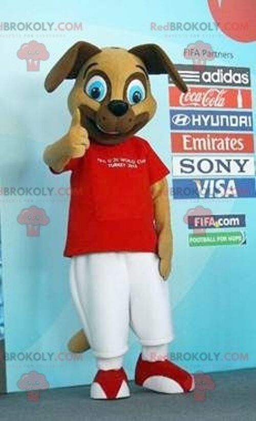 Brown dog REDBROKOLY mascot in sportswear / REDBROKO_01977