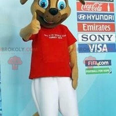 Brown dog REDBROKOLY mascot in sportswear / REDBROKO_01977