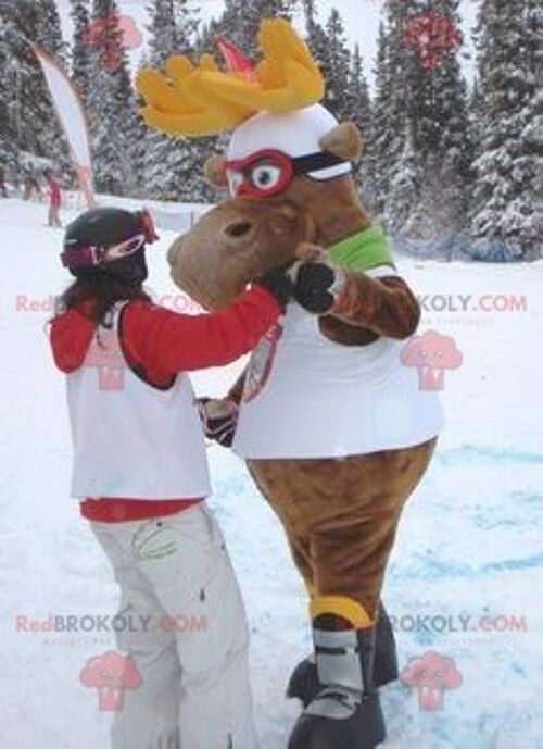 2 brown bear REDBROKOLY mascots in sportswear / REDBROKO_02230