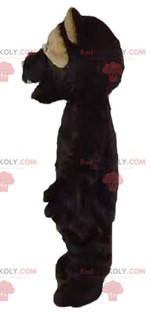 Brown teddy bear REDBROKOLY mascot dressed in a black costume / REDBROKO_02603