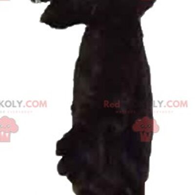 Brown teddy bear REDBROKOLY mascot dressed in a black costume / REDBROKO_02603