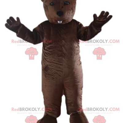 Brown and beige teddy bear REDBROKOLY mascot in blue outfit / REDBROKO_02607