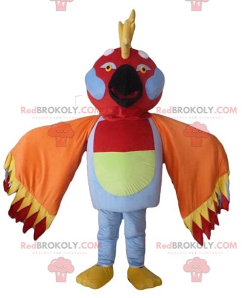 Tricolor parrot REDBROKOLY mascot with a pirate hat / REDBROKO_02650
