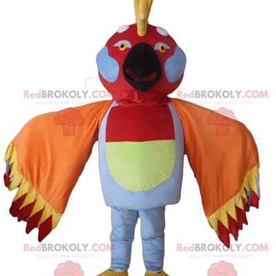 Tricolor parrot REDBROKOLY mascot with a pirate hat / REDBROKO_02650