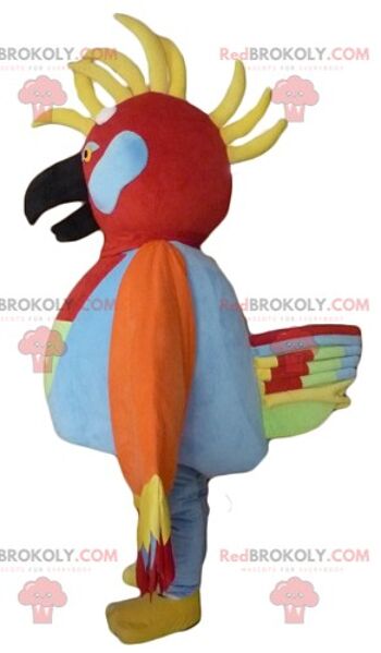 Mascotte de perroquet tricolore REDBROKOLY avec un chapeau de pirate / REDBROKO_02650 3