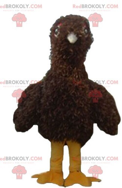 REDBROKOLY mascot beautiful eagle black white and yellow giant very realistic / REDBROKO_02682