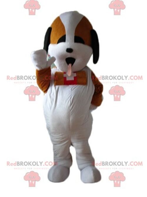 Plump and cute brown and white dog REDBROKOLY mascot / REDBROKO_02779