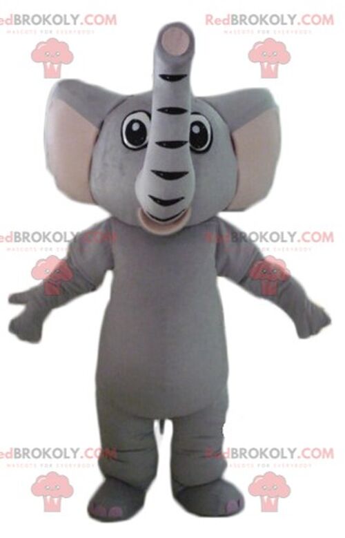 Gray and pink elephant REDBROKOLY mascot in blue and white outfit / REDBROKO_02839