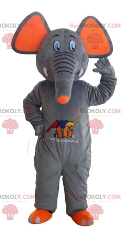 Gray elephant REDBROKOLY mascot in yellow and black outfit / REDBROKO_02844