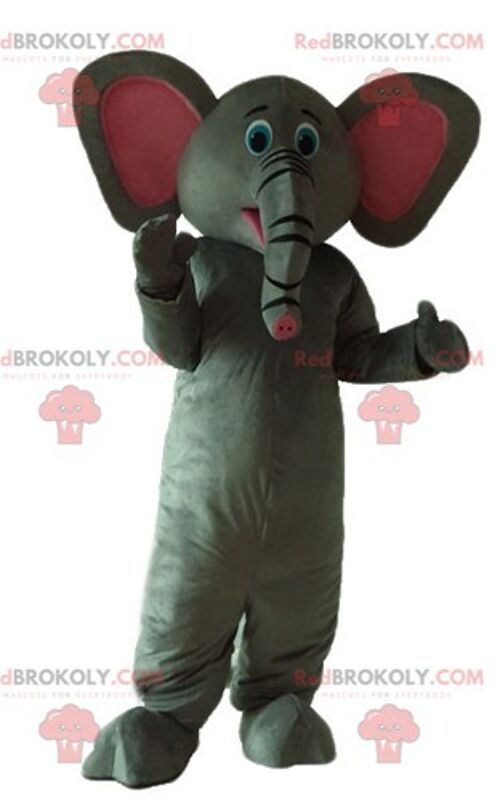 Giant and fully customizable gray elephant REDBROKOLY mascot / REDBROKO_02855