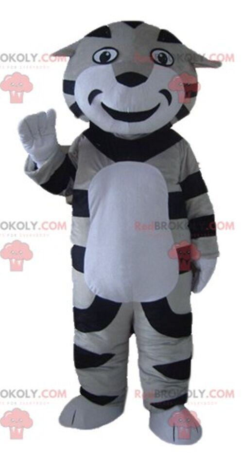 REDBROKOLY mascot small yellow white and brown tiger touching / REDBROKO_02867