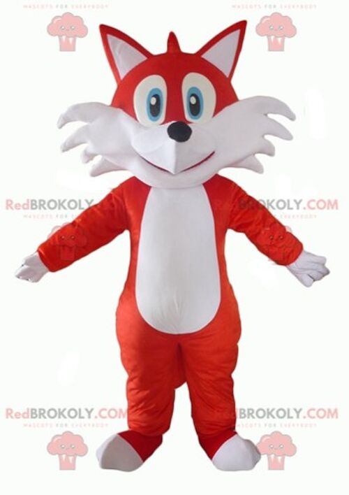 Cute and touching orange and white fox REDBROKOLY mascot / REDBROKO_02999