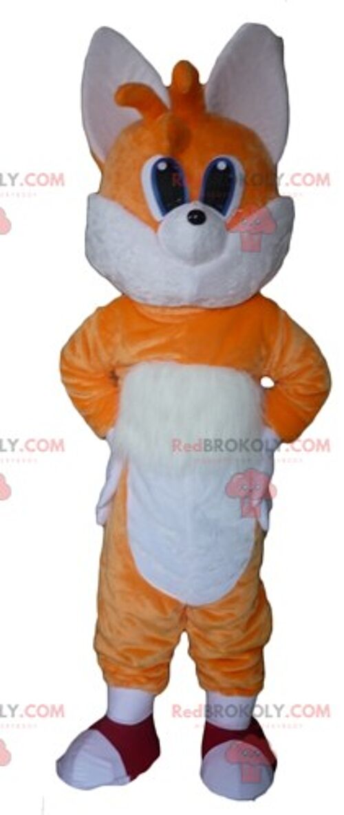 Brown and white sea lion REDBROKOLY mascot / REDBROKO_03014