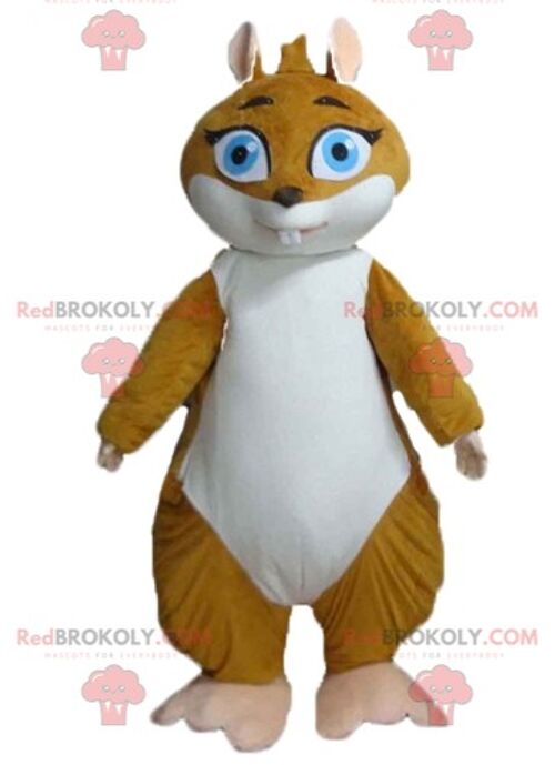 Orange and white fox cat REDBROKOLY mascot with glasses / REDBROKO_03116