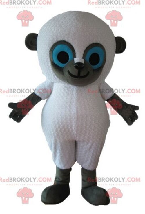 REDBROKOLY mascot beautiful giant gray and white koala / REDBROKO_03194