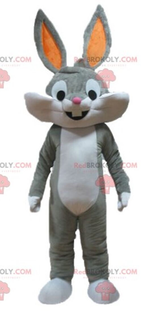 Very elegant costumed white and pink rabbit REDBROKOLY mascot / REDBROKO_03258