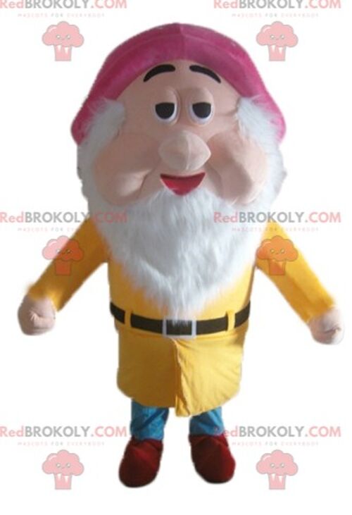 Snow White famous dwarf Grumpy REDBROKOLY mascot / REDBROKO_03464