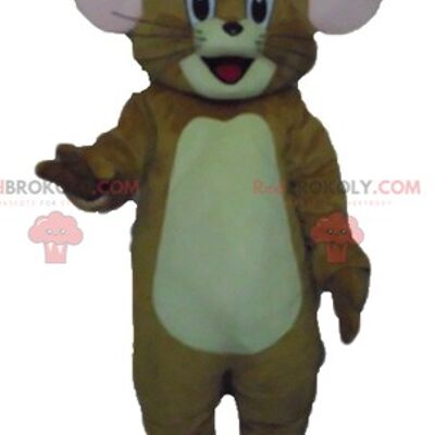 REDBROKOLY mascotte Tom il famoso gatto grigio e bianco dei Looney Tunes / REDBROKO_03492