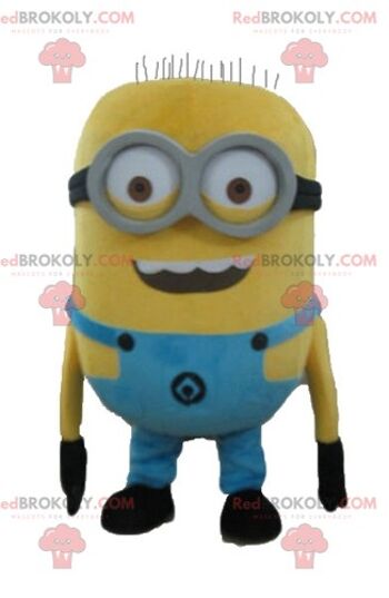 Mascotte de Minion REDBROKOLY célèbre personnage de dessin animé jaune / REDBROKO_03542 1