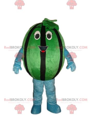 Mascotte de coccinelle fraise REDBROKOLY marron rouge et vert / REDBROKO_03817 1