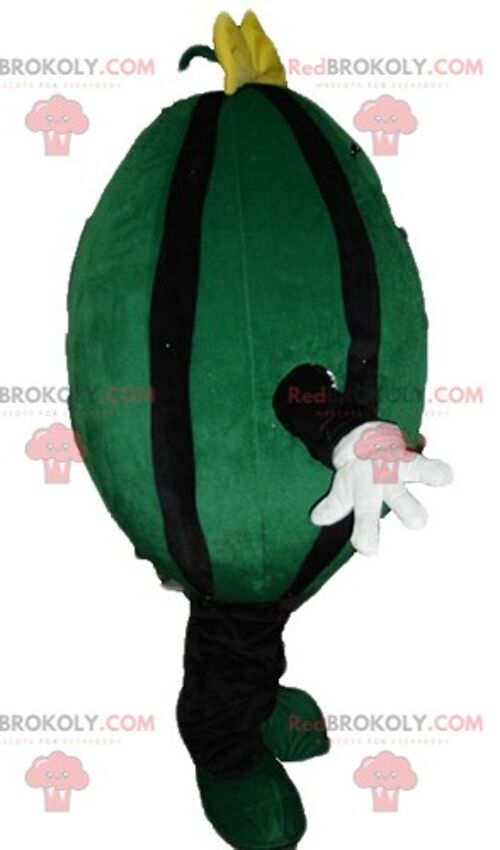 Giant green and black watermelon REDBROKOLY mascot / REDBROKO_03818